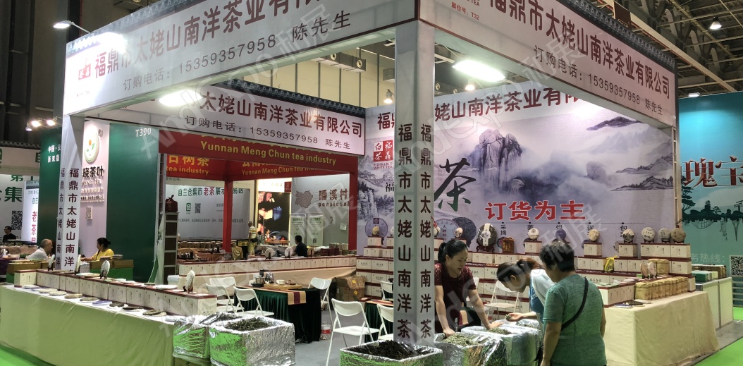 东莞茶博会图片7
