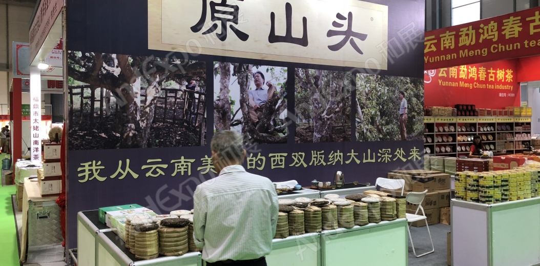 东莞茶博会图片43